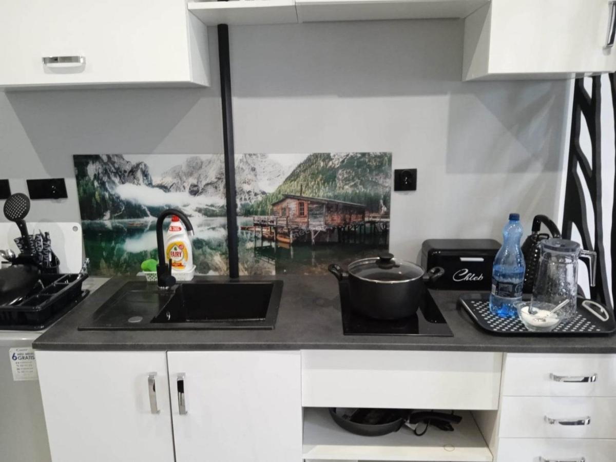 Komfortowy Apartament U Baltazara Duszniki Zdrój Eksteriør billede